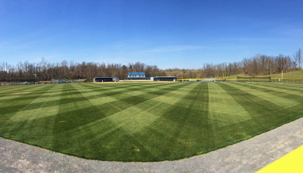 Baseball-Field-06 Baseball Field - Outfield