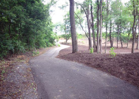 Trail-2 Trail 2