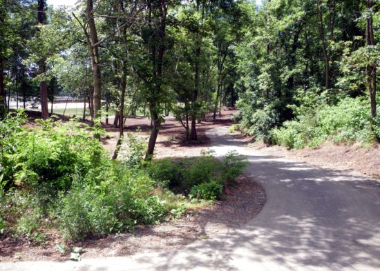 Trail-3 Trail 3